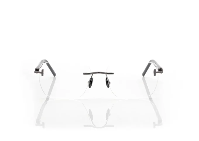 Horn and Titanium Rectangular Opticals Horn and Titanium Rectangular Opticals