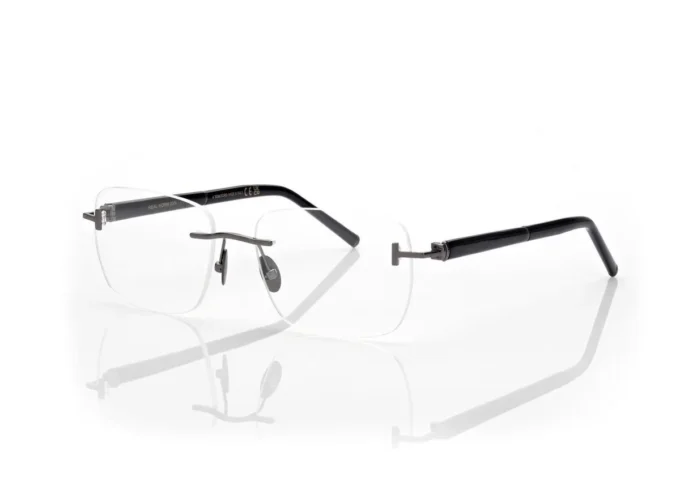 Horn and Titanium Rectangular Opticals Horn and Titanium Rectangular Opticals