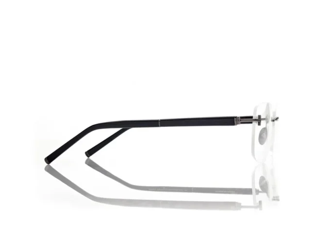 Horn and Titanium Rectangular Opticals Horn and Titanium Rectangular Opticals