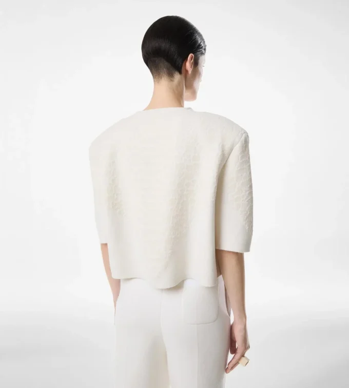 Merino Cashmere Crewneck T-Shirt with Silk Chenille Embossed Python Detail Merino Cashmere Crewneck T-Shirt with Silk Chenille Embossed Python Detail