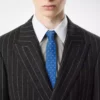 Pinstripe Jacket Pinstripe Jacket