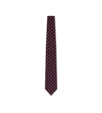 Satin Polka Dot Tie
